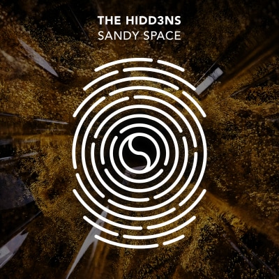 The HIDD3NS - Sandy Space