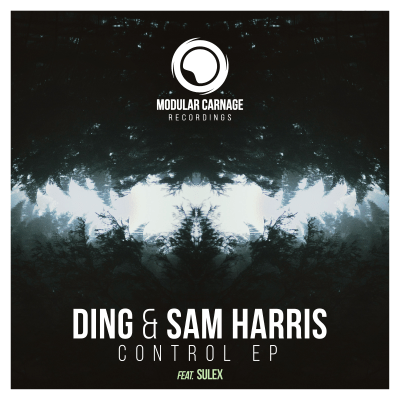 Ding & Sam Harris - Control - EP