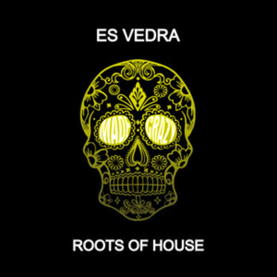 Es Vedra UK - Roots of House