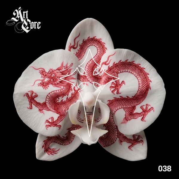 ARTCORE DUO XIV - CARLA SCHMITT & RAZA GOLROO