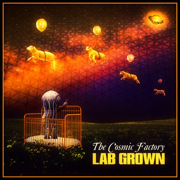 "Lab Grown" by The Cosmic Factory