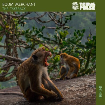 Boom Merchant - The Takeback