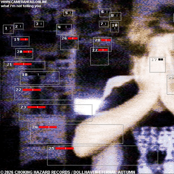 Camerahead - What I'm Not Telling You