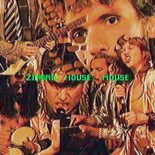 Zimbru - House Mouse