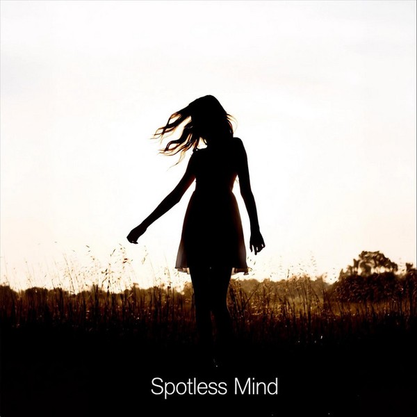 Spotless Mind