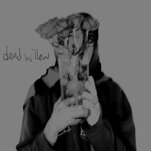 dead willow