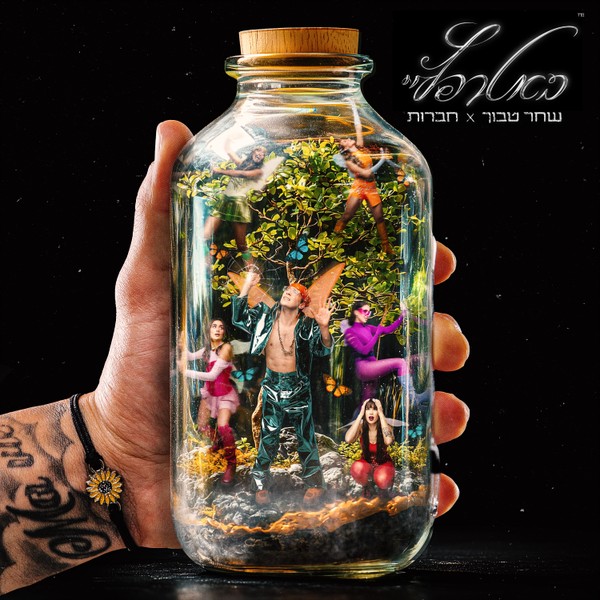שחר טבוך - באטרפליי