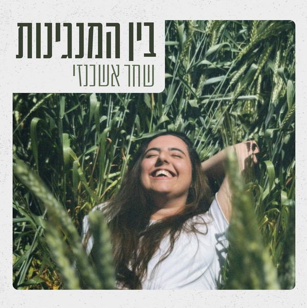 שחר אשכנזי - בין המנגינות