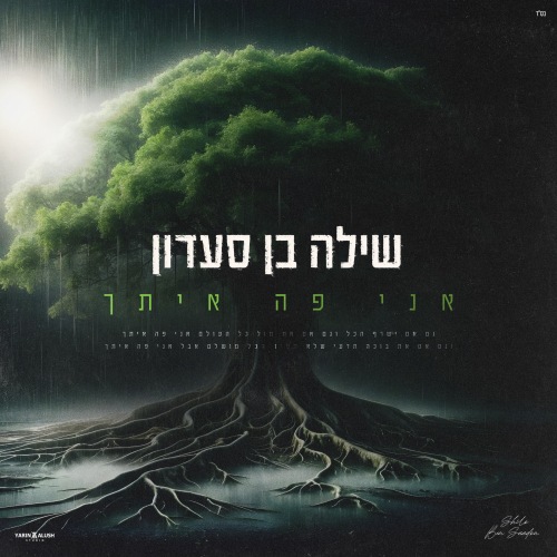 שילה בן סעדון - אני פה איתך