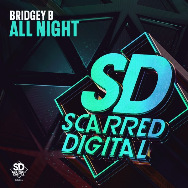 SD241 BRIDGEY B - ALL NIGHT