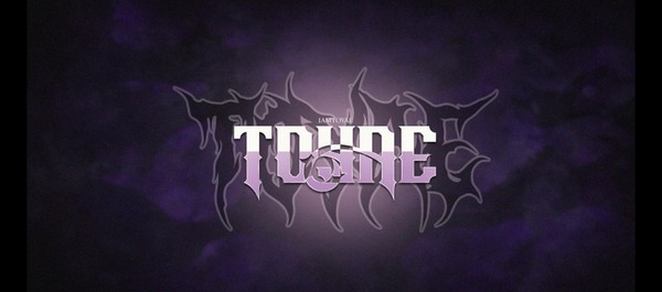 TOYAE
