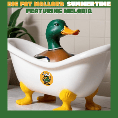 BIG FAT MALLARD ft. Melodiq - "Summertime"