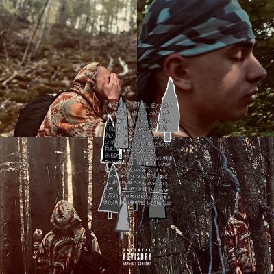 Album "Medzi Stromami"