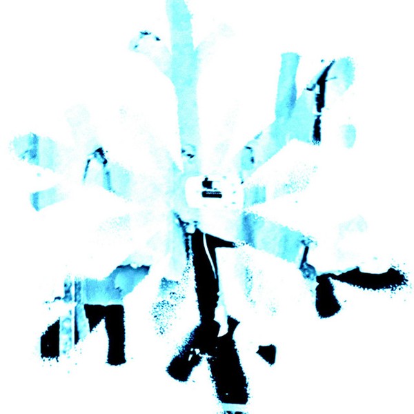lay in the snow