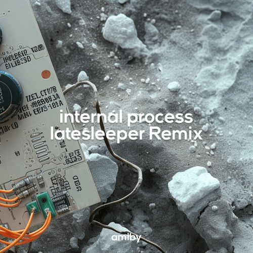 Amiby - Internal Process (latesleeper Remix)