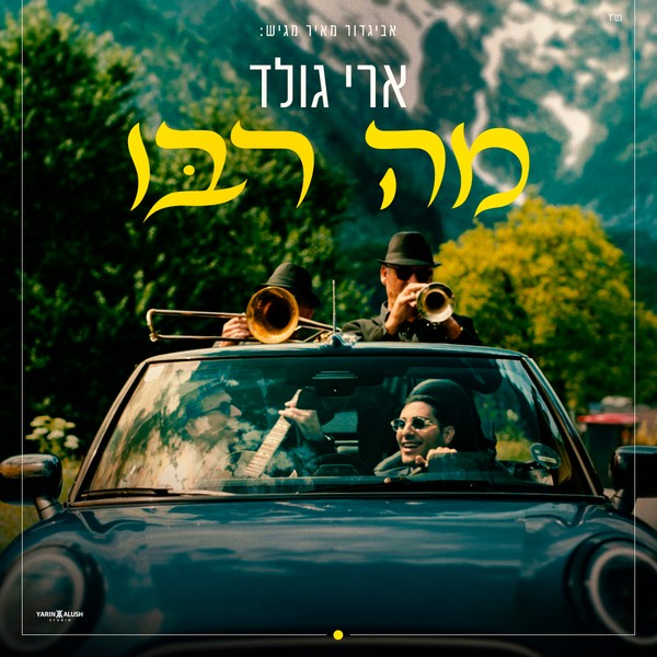 ארי גולד - מה רבו
