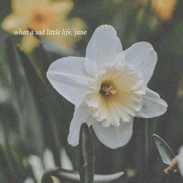 What a Sad Little Life, Jane
