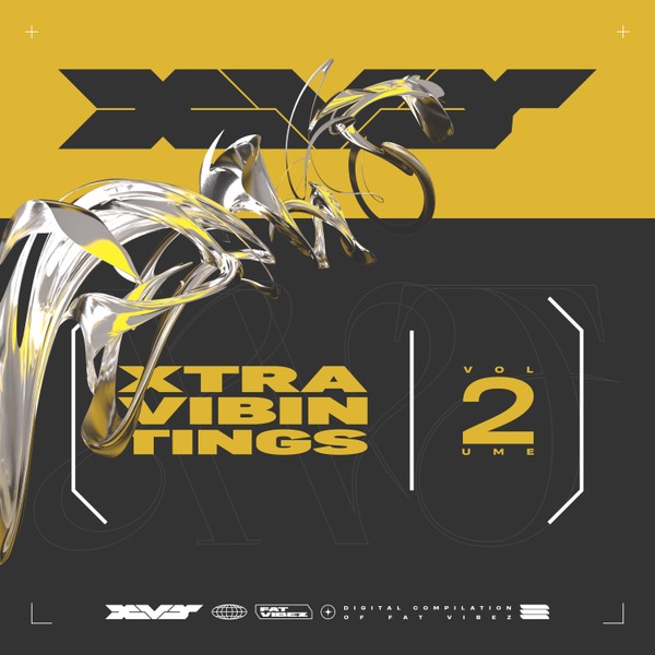 Xtra Vibing Tings Vol.2