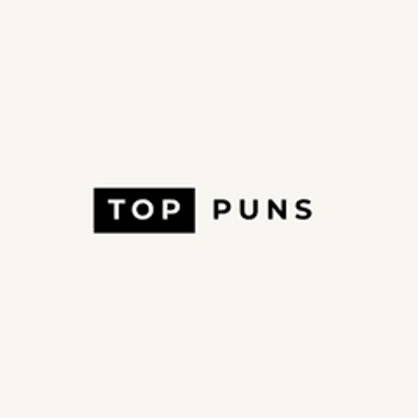 toppunscom