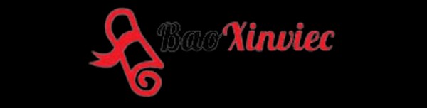 baoxinviec