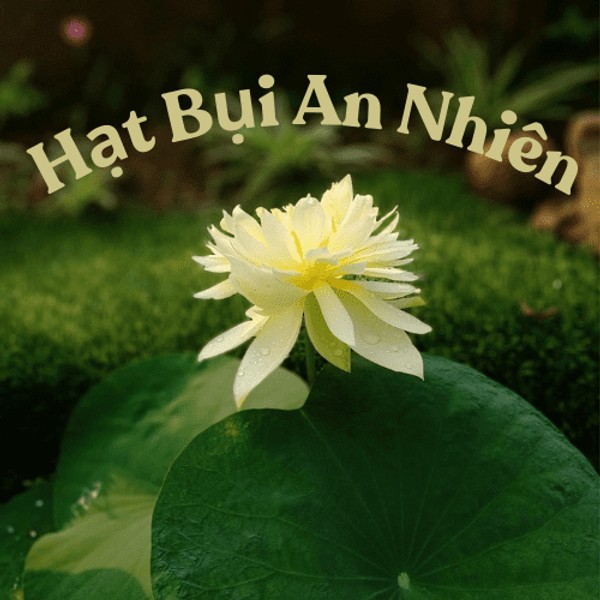 hatbuiannhien
