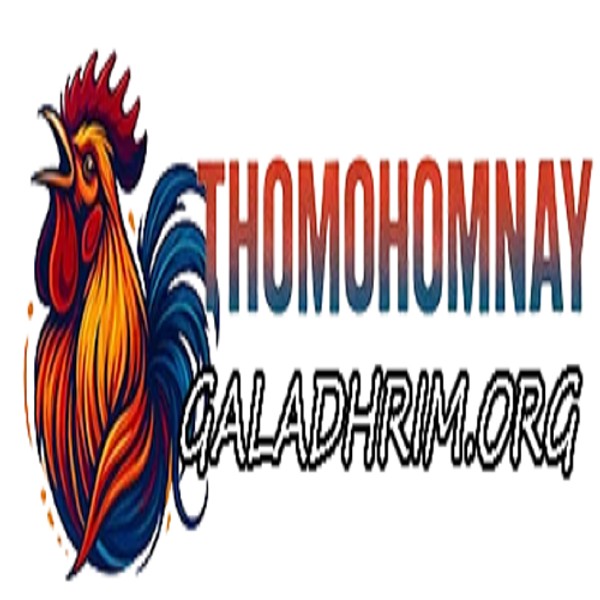 THOMOHOMNAY XEM TRỰC TIẾP ĐÁ GÀ