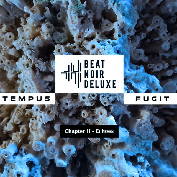 Tempus Fugit (Chapter II: Echoes)