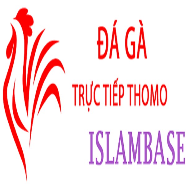 Đá Gà Trực Tiếp Thomo