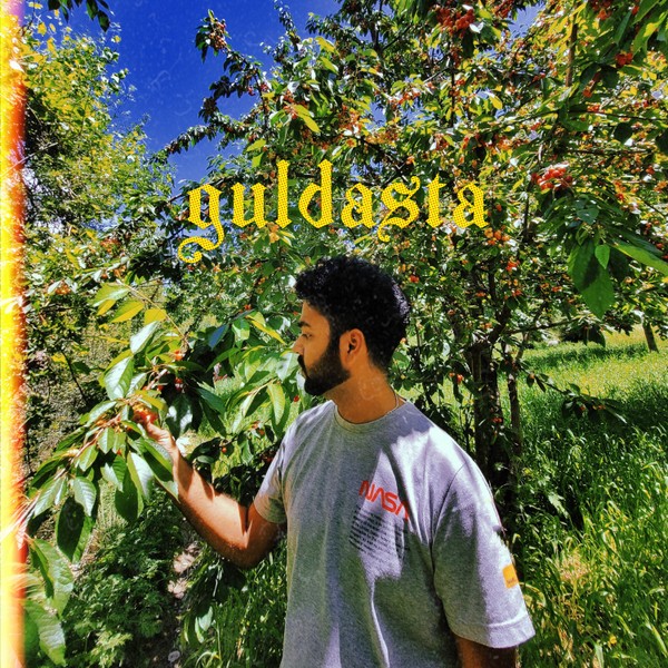 Guldasta 💐