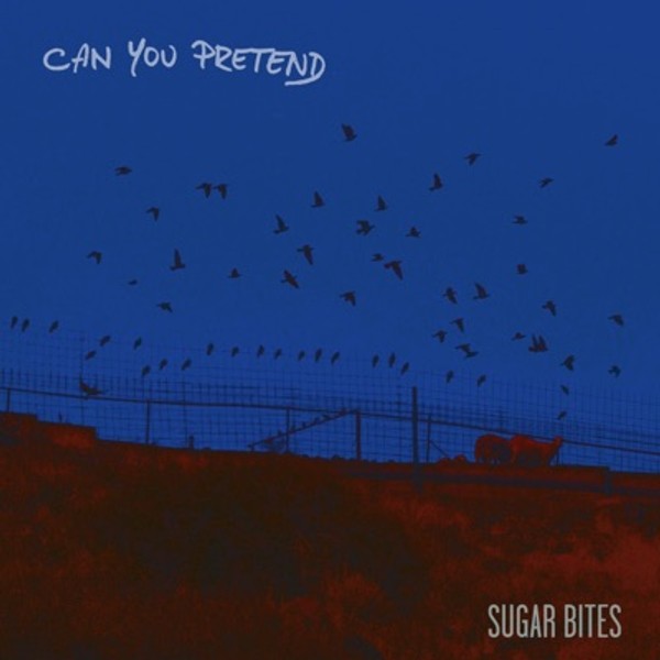 Can You Pretend