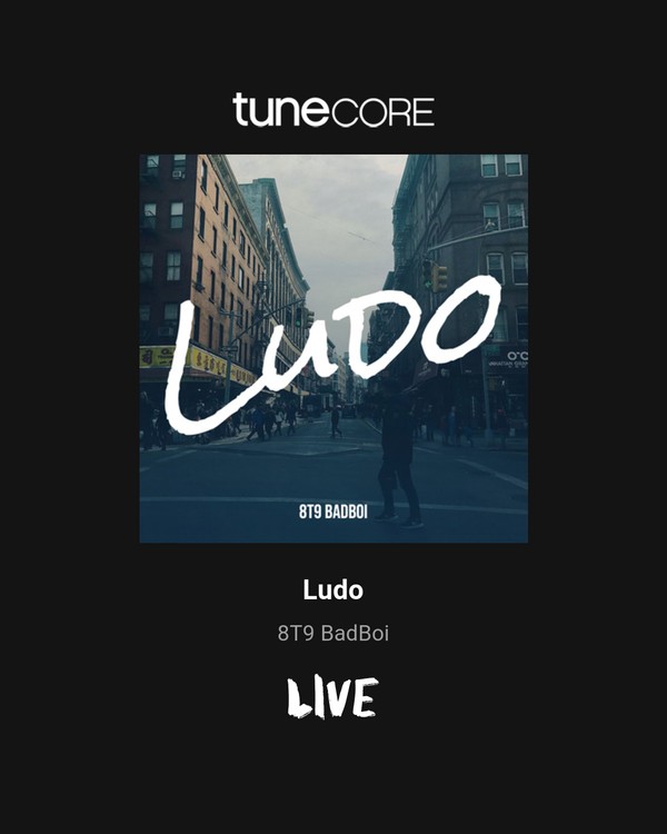 8T9BadBoi—LUDO