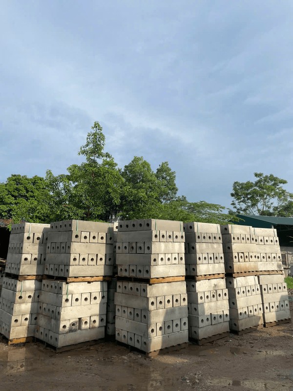 betongnguyenhuy