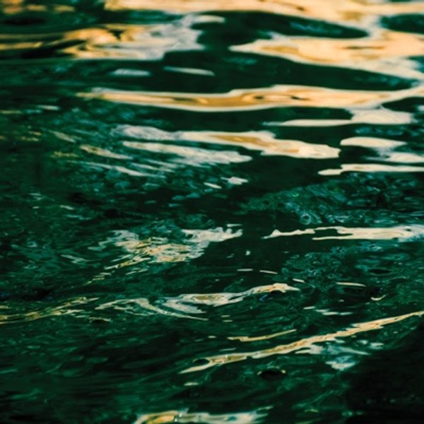 Jo Johnson - The Wave Ahead