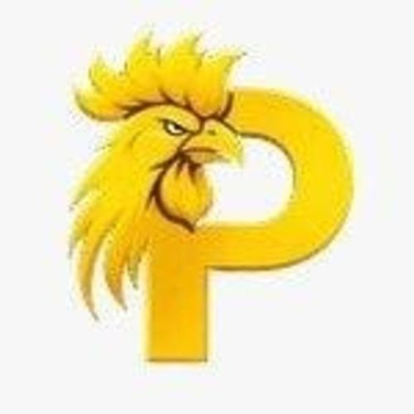 paitosdyio