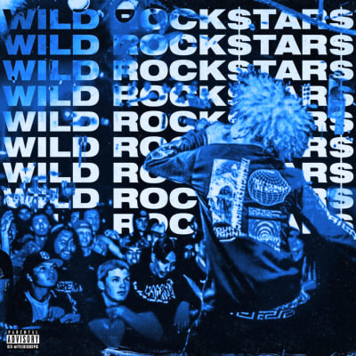 Wild ROCK$TAR$