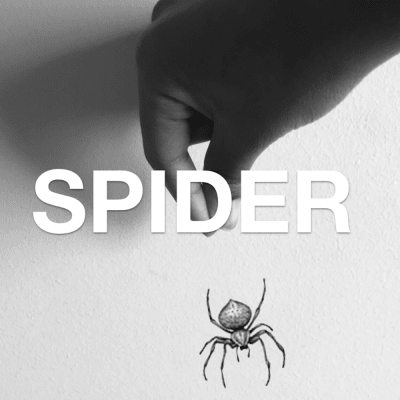 Spider by Vanessa Richardson