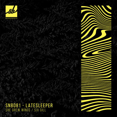 SNB081: latesleeper