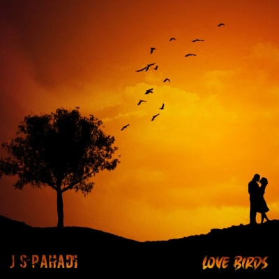 Love Birds - J S Pahadi
