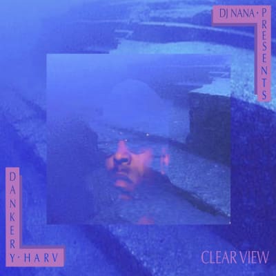DJ Nana Presents... Dankery Harv | Clear View