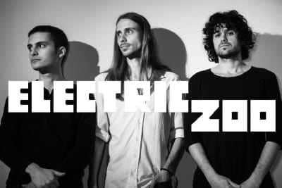 Electric Zoo Band