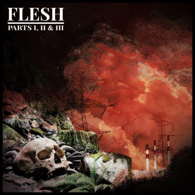 HMWH - Flesh