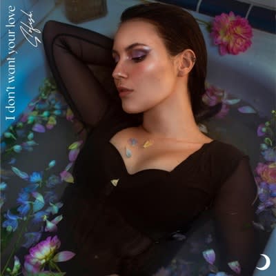 Sofish - I Don't Want Your Love