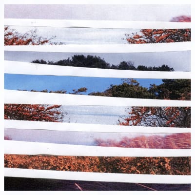 Kinbote - Shifting Distance