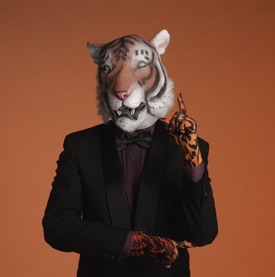 House Tiger's  Electronic Troubadour