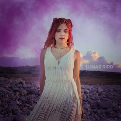 The debut album 'Lunar Bird' 
