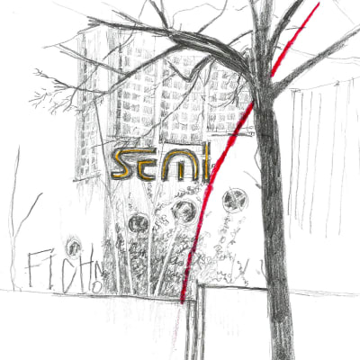 Fichon - Semi