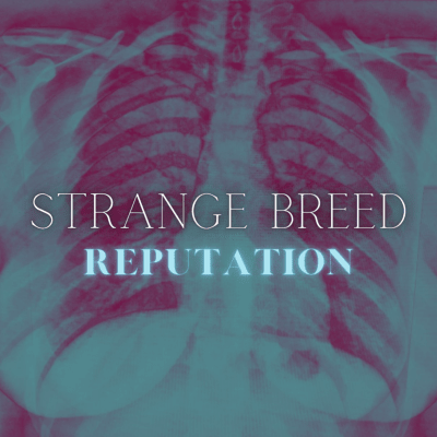 Reputation