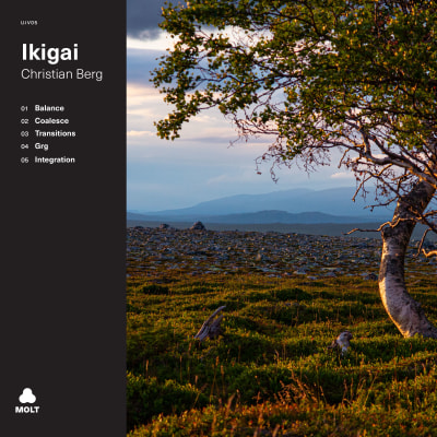 Christian Berg - Ikigai