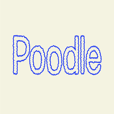 Poodle