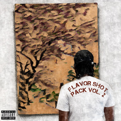 Flavor Shot Pack Vol. 2